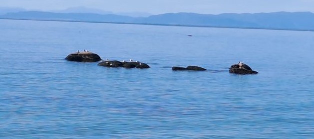 3 Bedroom Property for Sale in St Helena Views Western Cape